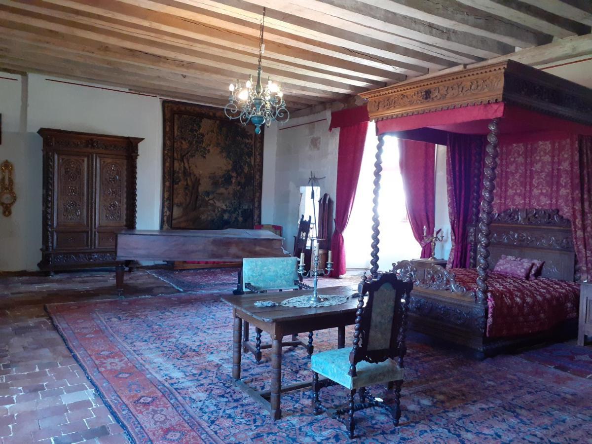 Chateau De Chémery