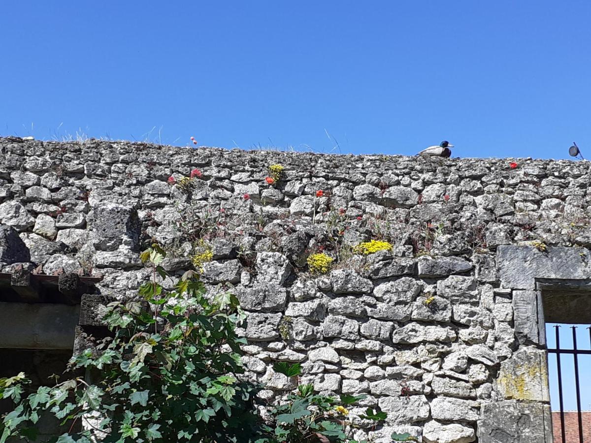 Chateau De Chémery