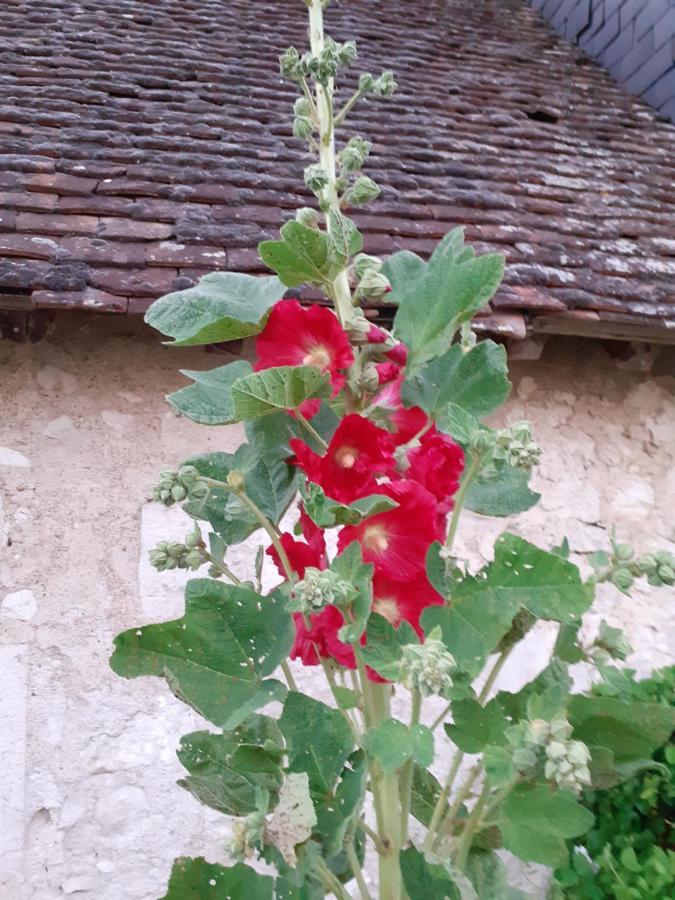 Couette-café Chateau De *