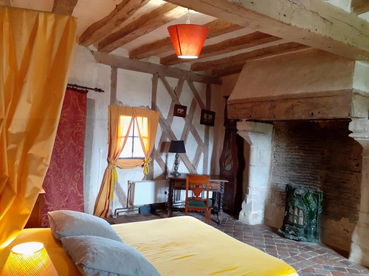 Chateau De * Chémery